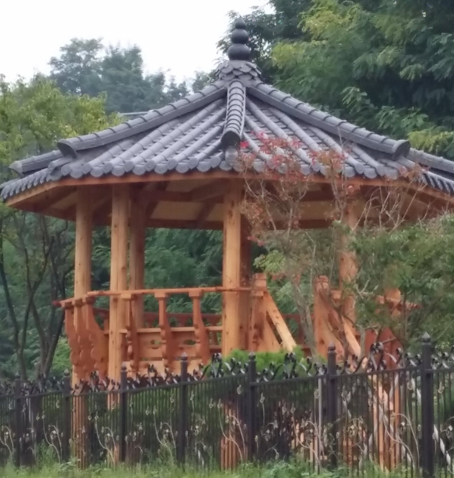 팔각정자